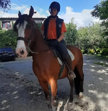 Quinta Da Penela Venkovský dům