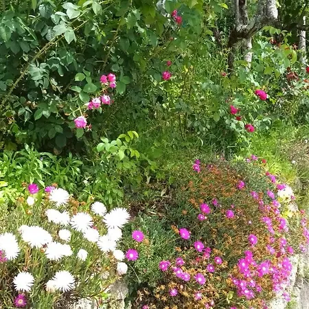Quinta Da Penela Venkovský dům Vieira do Minho