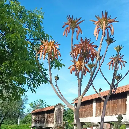 Landhuis Quinta Da Penela *