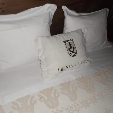 Quinta Da Penela Venkovský dům