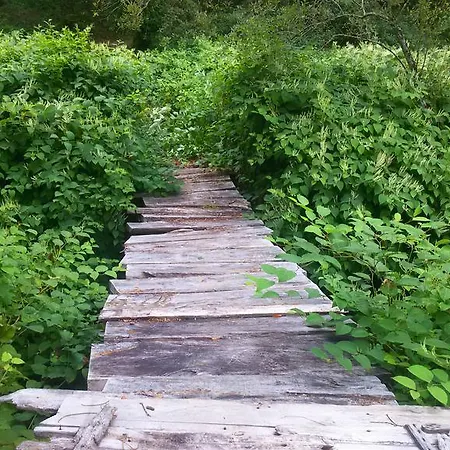 Quinta Da Penela * Vieira do Minho