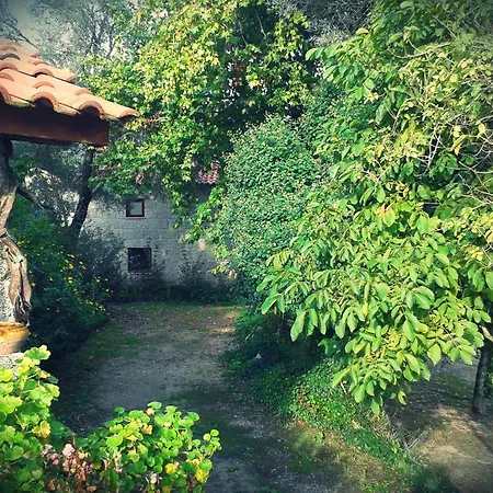 Casa de Campo Quinta Da Penela *