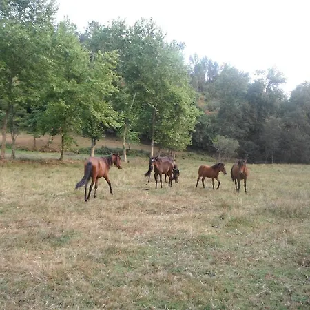 Quinta Da Penela Casa de Campo *