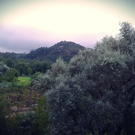 Quinta Da Penela *