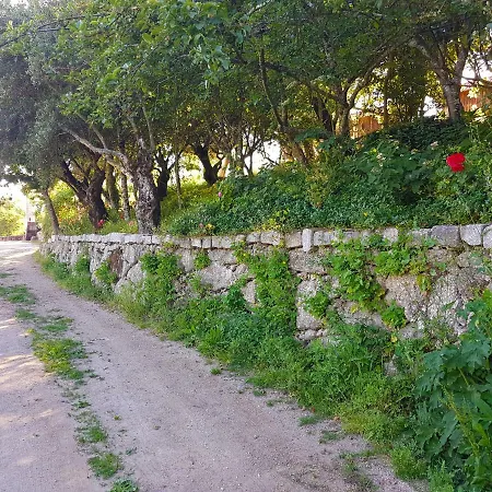 Quinta Da Penela Casa de Campo Vieira do Minho