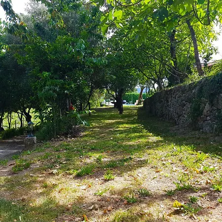 Quinta Da Penela Vieira do Minho