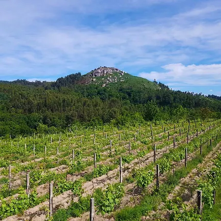 Quinta Da Penela Landsted