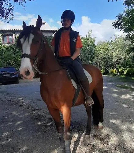 Quinta Da Penela Country house