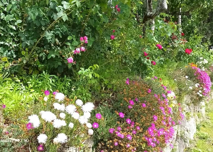 Quinta Da Penela Casa di campagna Vieira do Minho