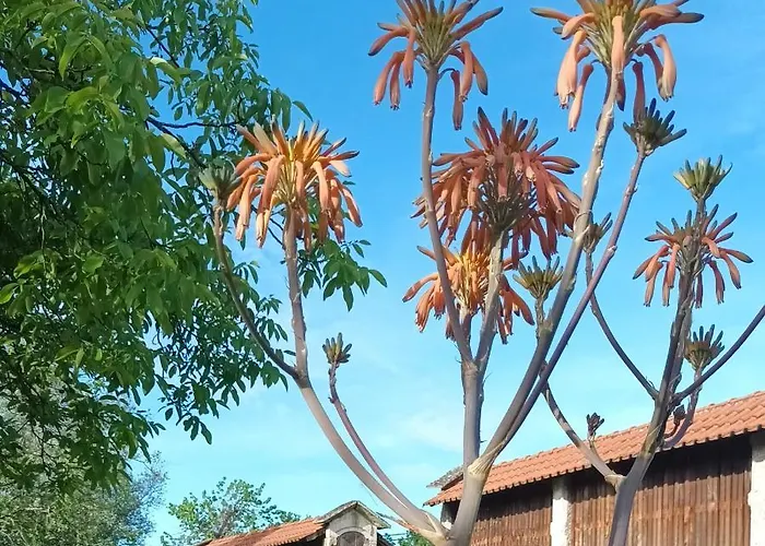 Casa di campagna Quinta Da Penela *