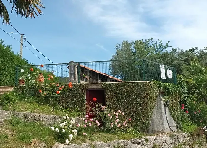 Quinta Da Penela * Vieira do Minho