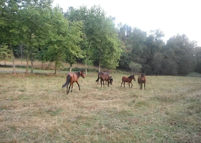 Quinta Da Penela Country house *