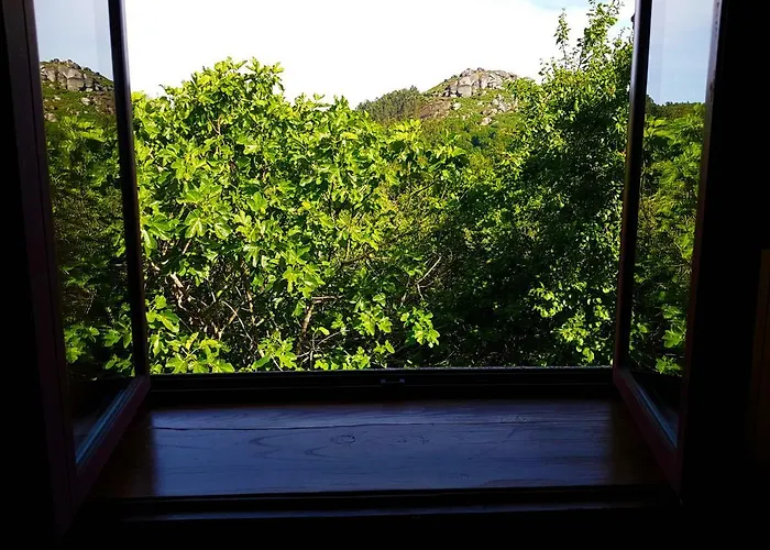 Quinta Da Penela Vieira do Minho