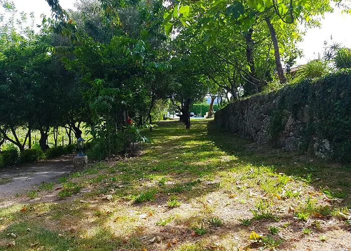 Quinta Da Penela Vieira do Minho