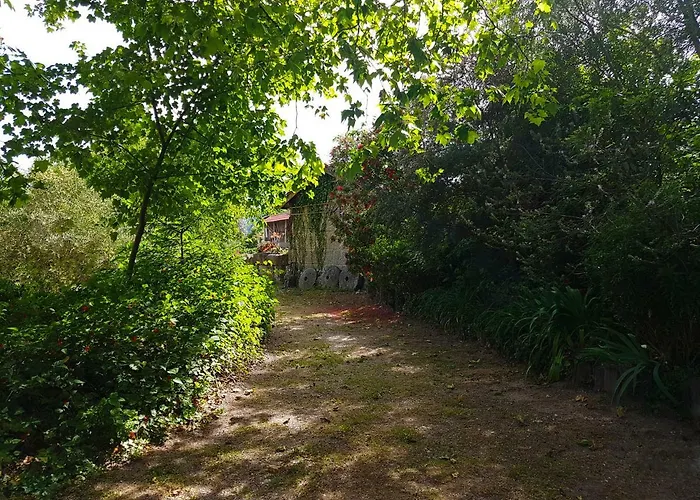 Quinta Da Penela * Vieira do Minho