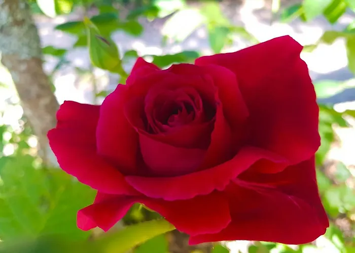 Quinta Da Penela Country house