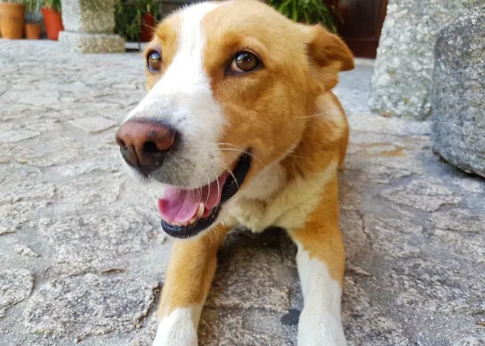 Country house Quinta Da Penela *