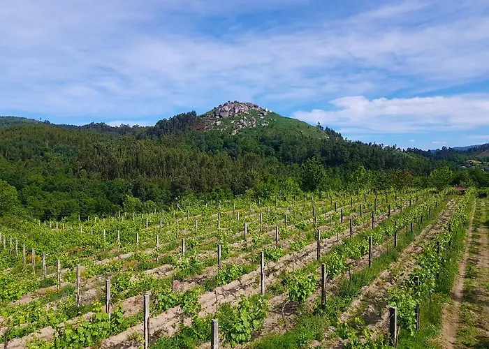 Quinta Da Penela Country house