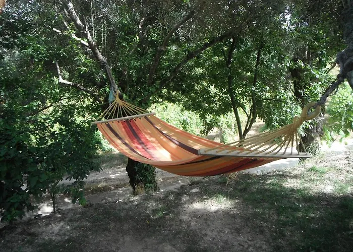 Quinta Da Penela Country house Vieira do Minho